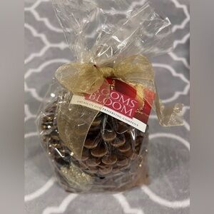 Pine Cones Cinnamon Scented Rooms In Bloom Gold Glitter 2 Dry Qts